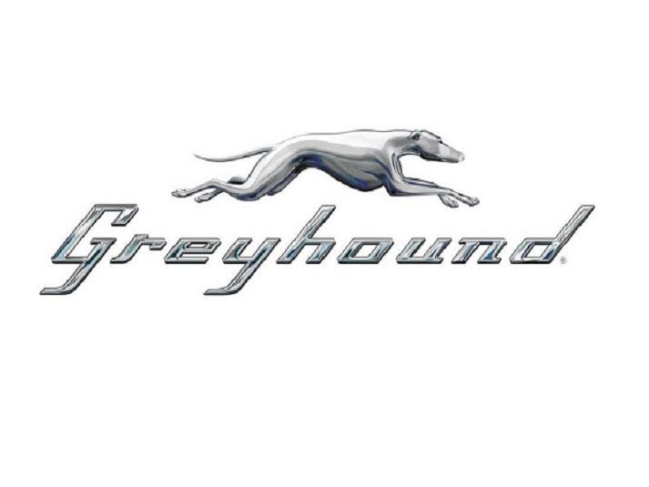 GreyhoundHMPG