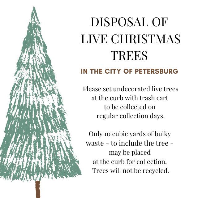 Christmas Tree disposal