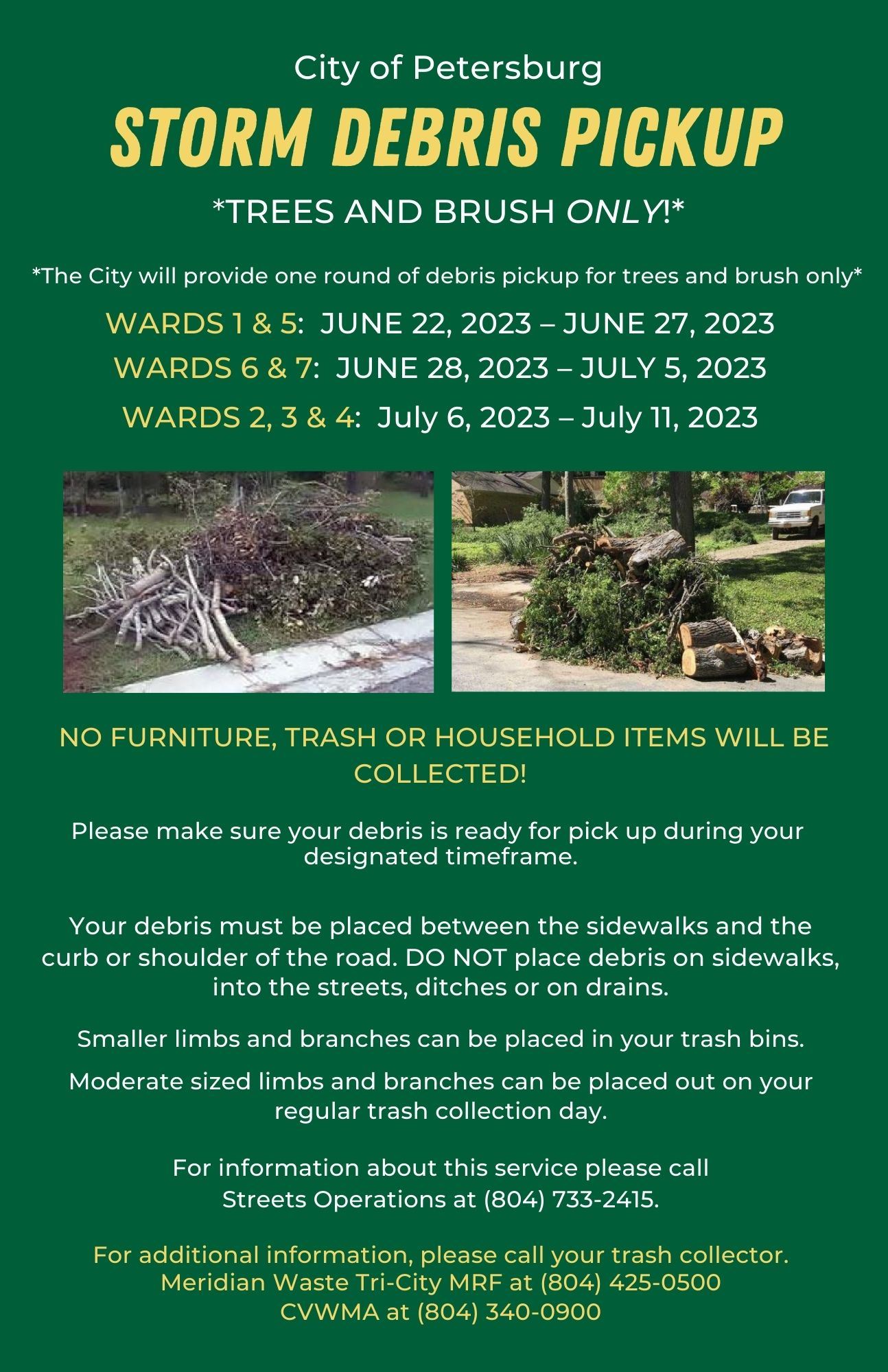 STORM DEBRIS PICKUP Flyer